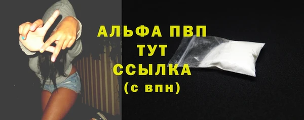 PSILOCYBIN Пестово
