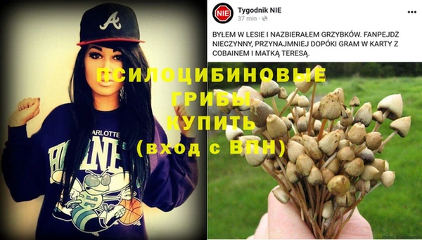 тгк Алексин