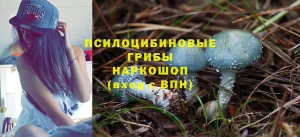 гидропоника Алексеевка