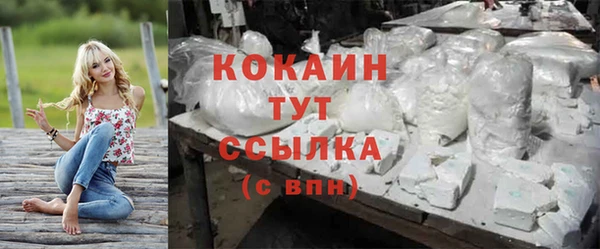 трава Пересвет